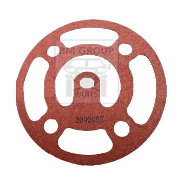 3992092 CONNECTION GASKET